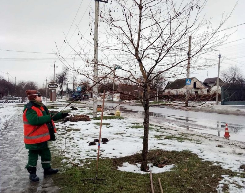 ������������ ������������� ����