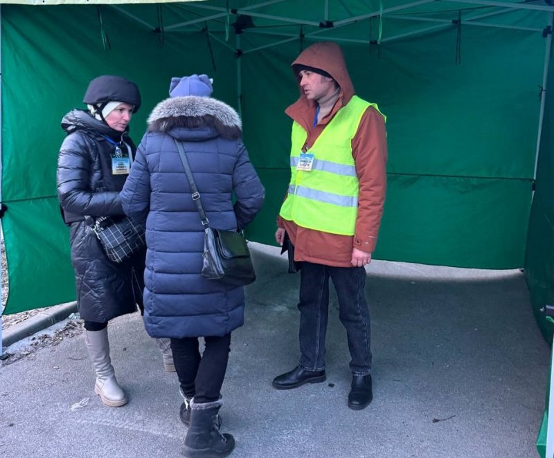 �����������⳻ ������ ��������