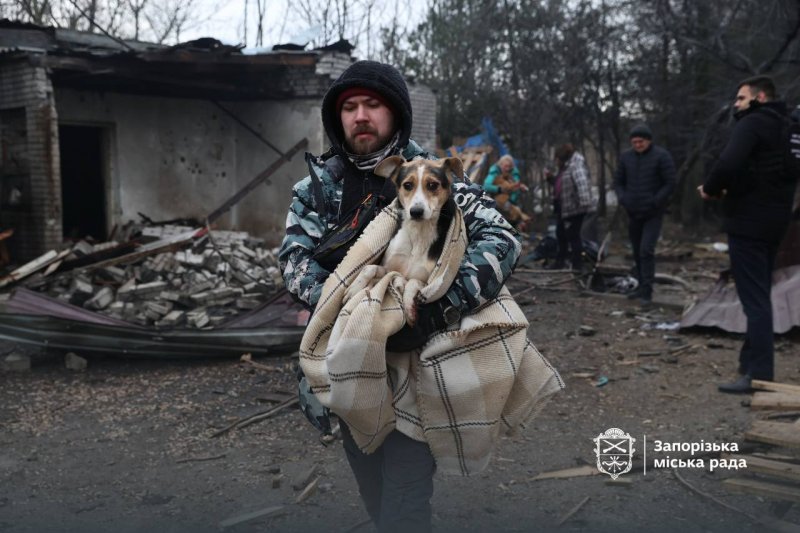 ������ ��������� �������� ������ � �������: �����, �� ������ �������