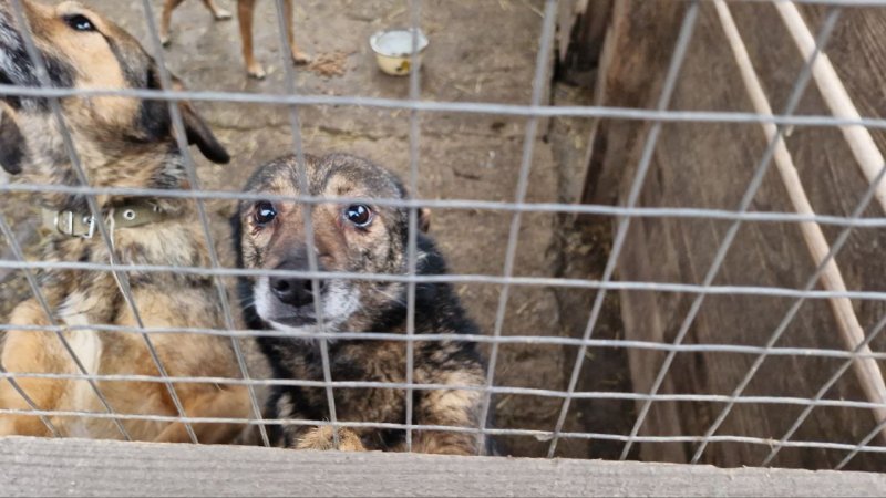 ���������� ���: � ����������� ��������, �� �� ������� �������� ������, ��������, �� ����� ���������