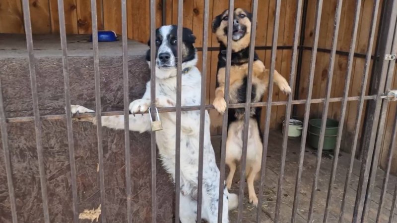 � ������ ������� ����� ���� ������: �� ���������� �������� ���������� ���� �������