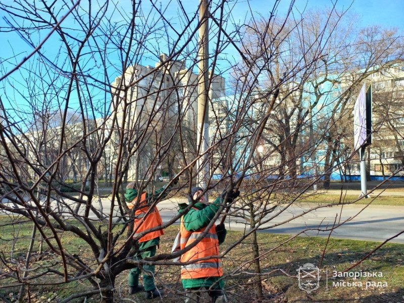 ������������� ����������� ������