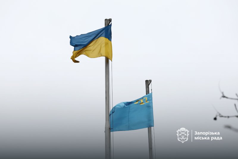 ϳ����� ������������������ ������