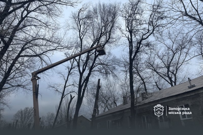 ����� ������ �����