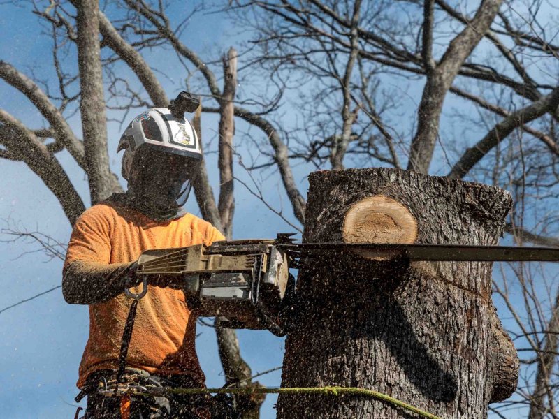 � ������� ��������� ������ �������� ����� ������ ������������ ����������