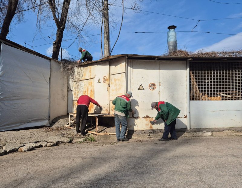 ������������ ����������� �� ������