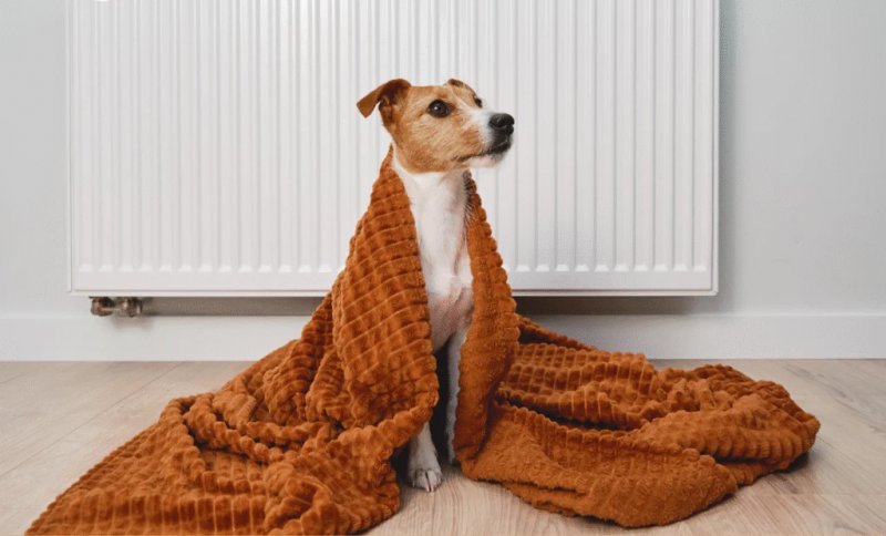 ������� ���� ��������� ������������� ������ � �������: �� ���� ����������