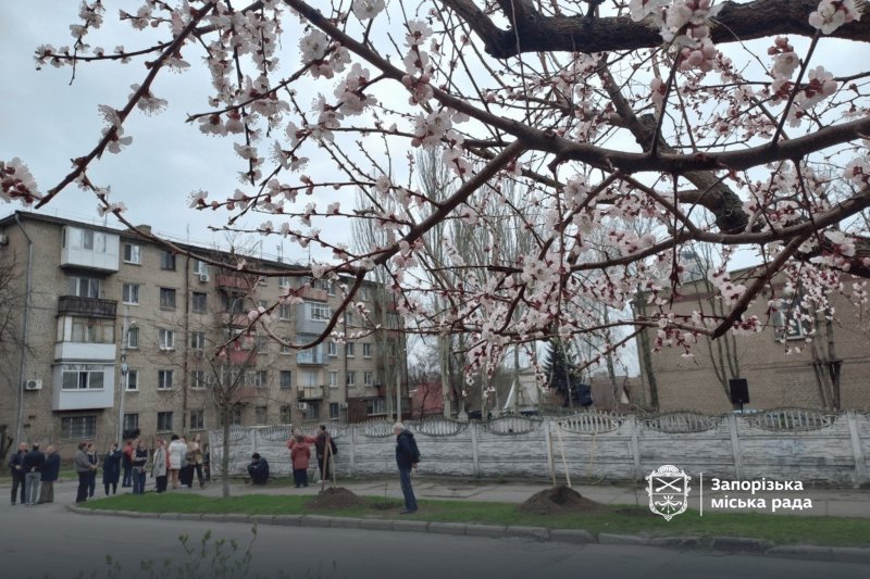 �������� ������ ����