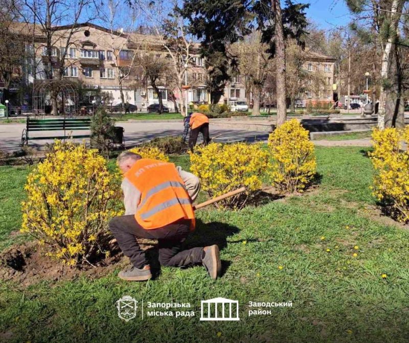 ˳�������� ��������� �������