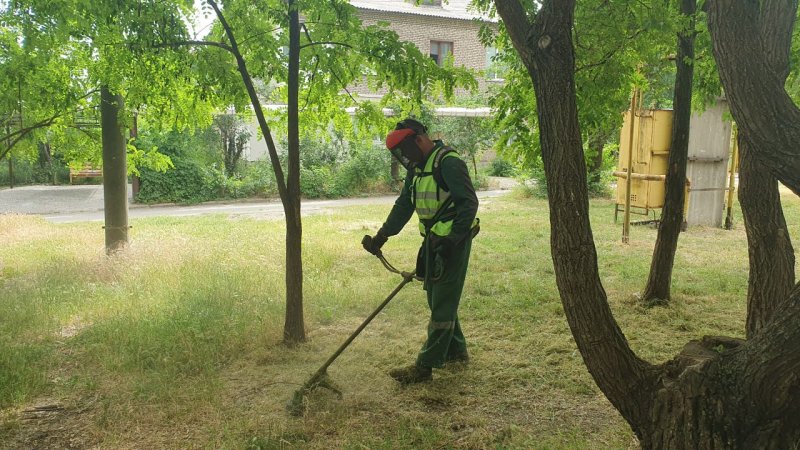 � ������� ��������� ����� ������ ������� �� ���� �����