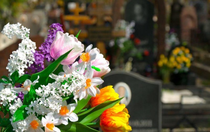 �������� ������ �������: �� � ��������� ������ �������� ���������� ���-2026