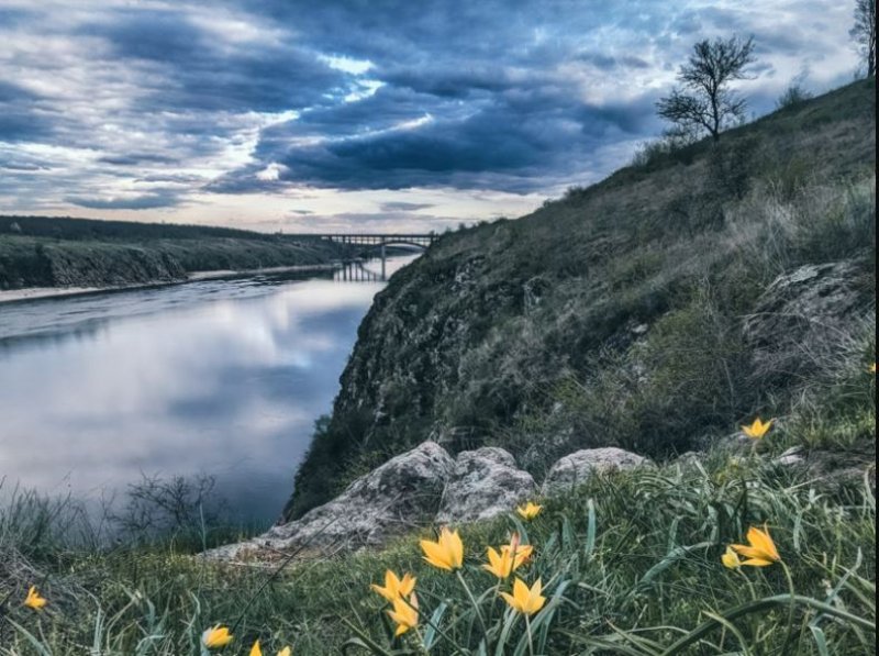 ������ ������� ��������� �������� ��� ������������� ���������� ��������� � �������