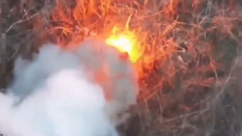 �������� ������������� ������� ���������� �� ������� ��������� ��