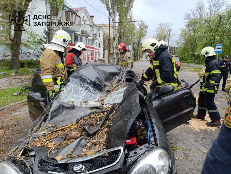 ������ ��������� �������� ������� � �������