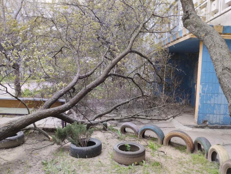 ������ � �������: ����� 100 �������� ��� ������ �����