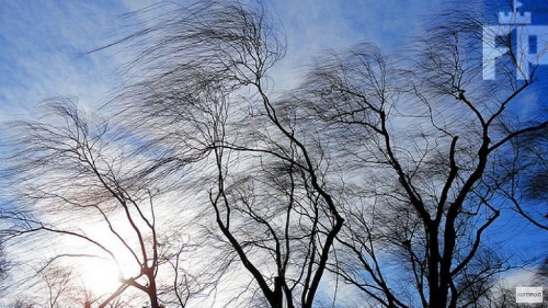 ������ �����: �� ��� ������ ��������� ���������