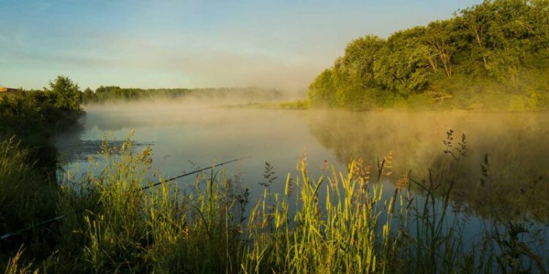 ����� �� ������ ����������: �� ������� ���������� ���������