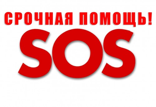   :  «   »