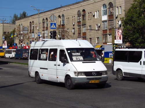  81   ,     