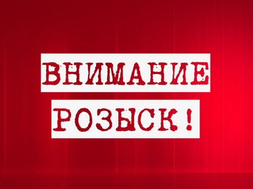 В Запорожской области полиция разыскивает молодую девушку: фото и приметы
