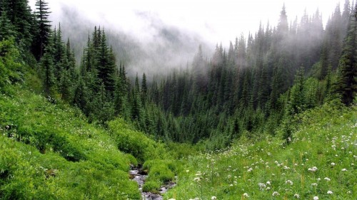 � ����������� ������� �������� ����� 6 ��������� �� �������� ������� �����