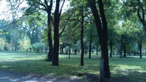 ���������� ���� � ����������� ������ ������� �������� «���� ��������»