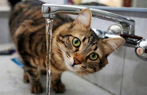 � ������ ��������� ��������� ����� ��������� ��� ���� (������)