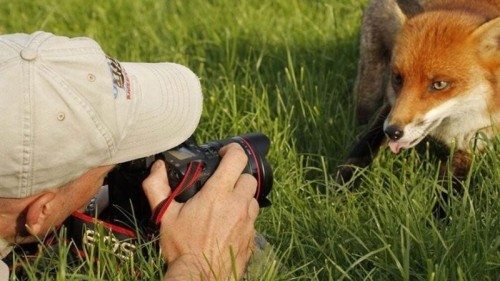 � ��������� ����������� ������� �� ������ ���� �� ���� ���������� �����