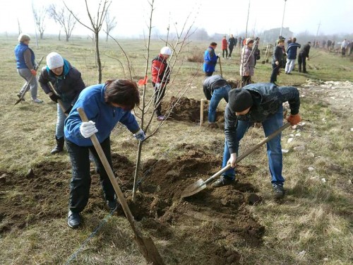 В поселке под Запорожьем высаживают новый парк (ФОТО)