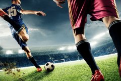 
			    — Goxbet:  		