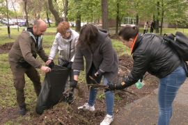 � ���������������� ������ ������������� ���� ��������� �����