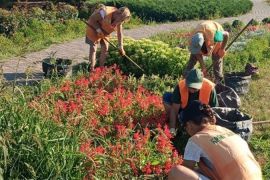 � ����������� ������ ������������� ������ � �����������