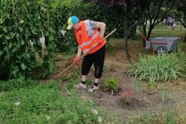 � ������� �������� ������� ������ � �����������