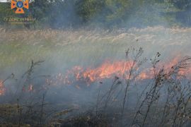 � ������� �� ������ ���� ���������� ��������� 30 ����� (����)