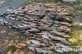 ���� �������� ������� �������� ����������. ����