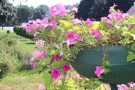 �������� ������������ ����������� ��������� �� �������� ����� � ������ 