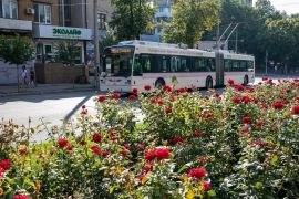 ��� ������ ������������ ������������ ���������� 31 ������
