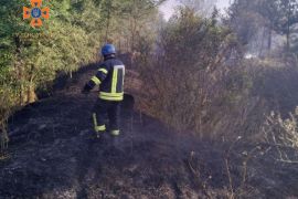 �� ������� ������������ ��������� 7 ������ �� ��������� ����� 6 ��