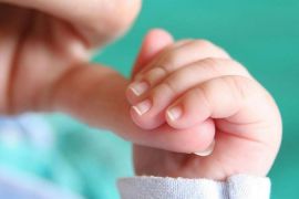 ������ ���� ���������� � ������� � ������� ���������������� ����������