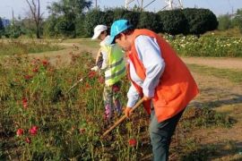 � ������� ������������ ������ ������ � �����������