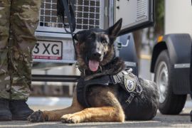 Європейські партнери передали запорізьким поліціянтам спецобладнання для перевезення службових собак. Відео
