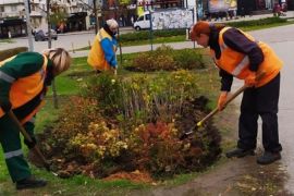 �������� ������������ ����������� ����������� ���������� ����