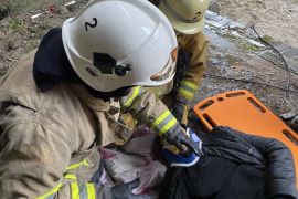 � ������� ������ ���� � ������ �� ����� — ����