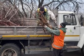 � ���������������� ������ ������������ ������� ����