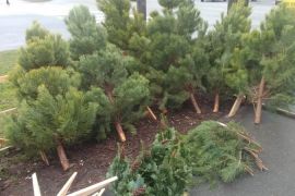 � ������� �� ����������� ������� ��������� ��������� ������