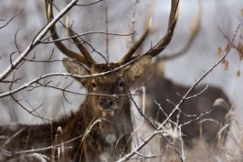 ������ �������� ������ � ���������� ��������� ��������� ������