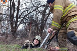 �������� ���� ���� ��������� ������������