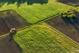 �������� ���� ���������. ϳ� ��� ���� � ����������� ���������� �'������� ����� ������ �����