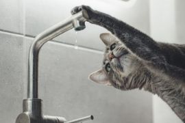 � �������������� ������ �������� �� ������� �������� ���������� ����