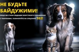 � ������� ������� �������� ���� ������. ���� 18+